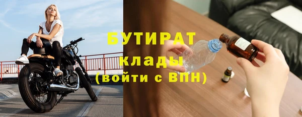 индика Арсеньев