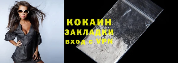 индика Арсеньев