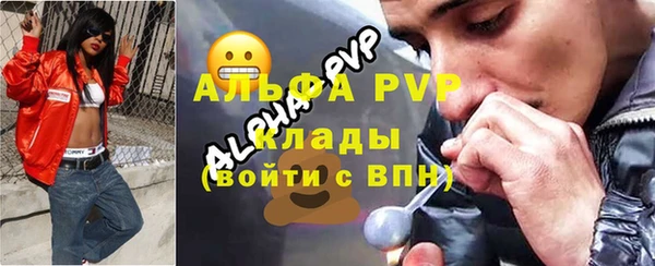 индика Арсеньев