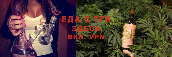 индика Арсеньев