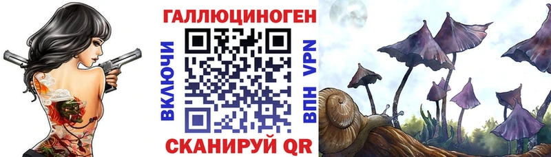 Псилоцибиновые грибы Magic Shrooms  наркотики  Таштагол 